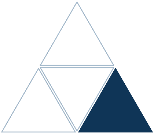 Progression Tax highlighted in the Excellence Tax model